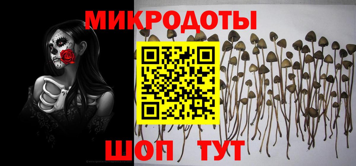 Галлюциногенные грибы Cubensis  Вход с VPN  Ишимбай  Псилоцибиновые грибы Psilocybine cubensis 